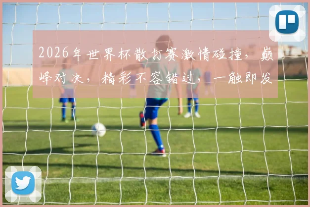 2026年世界杯散打赛激情碰撞，巅峰对决，精彩不容错过，一触即发