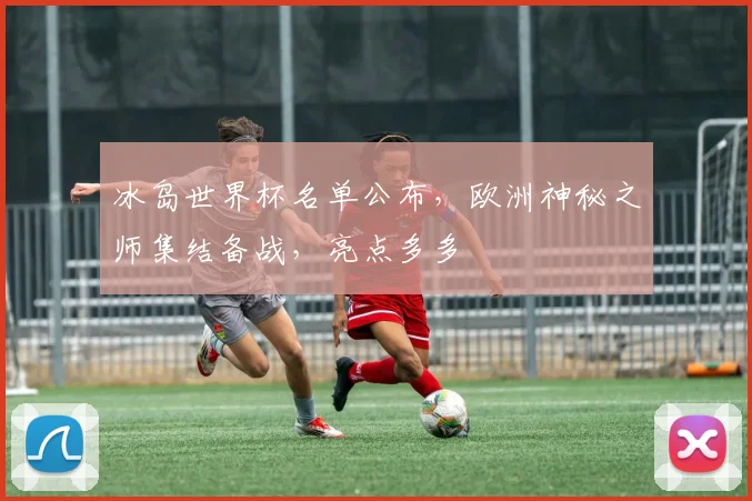冰岛世界杯名单公布，欧洲神秘之师集结备战，亮点多多