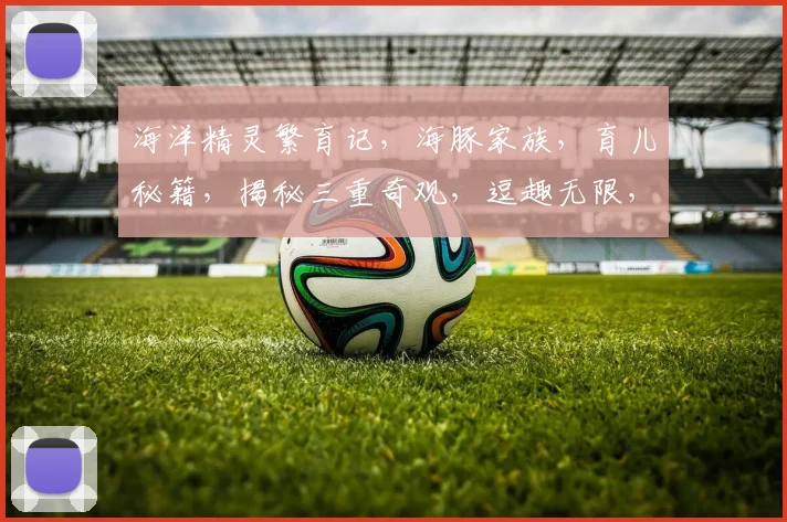 海洋精灵繁育记，海豚家族，育儿秘籍，揭秘三重奇观，逗趣无限，亲子共赏